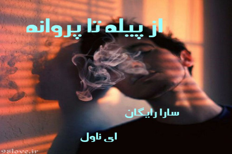 دانلود pdf رمان از پیله تا پروانه سارا رایگان