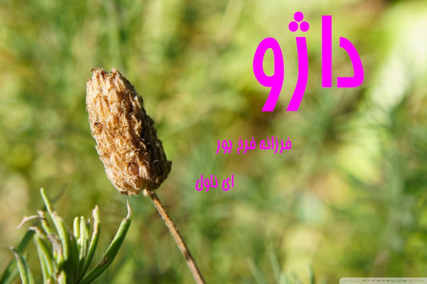 دانلود pdf رمان داژو فرزانه فرخ پور