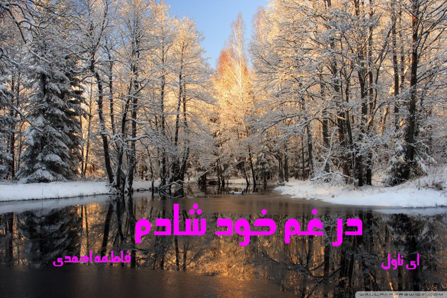 دانلود pdf رمان در غم خود شادم فاطمه احمدی