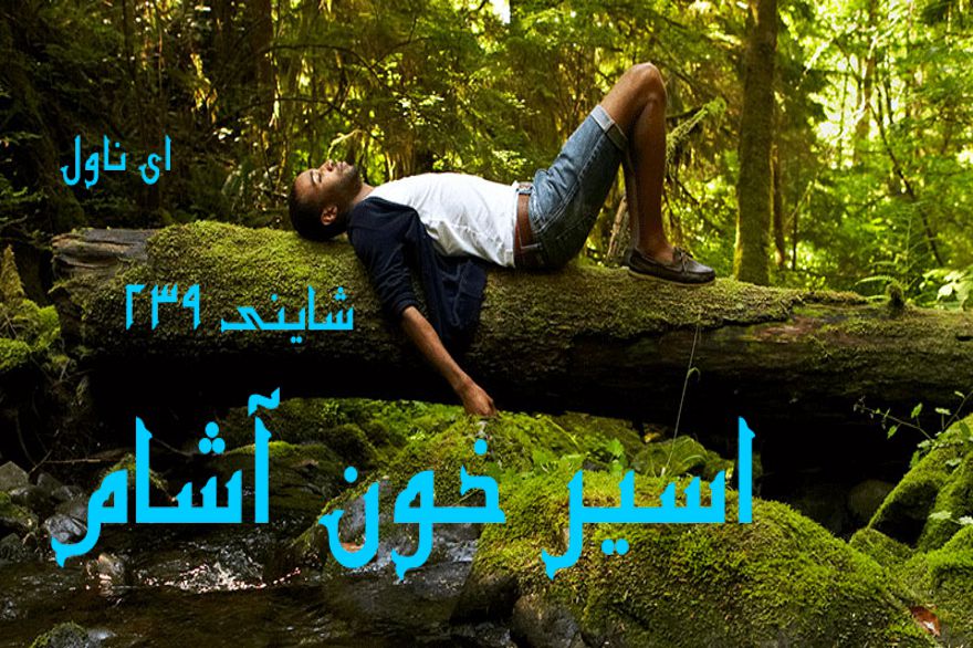 دانلود pdf رمان اسیر خون آشام شاینی 239