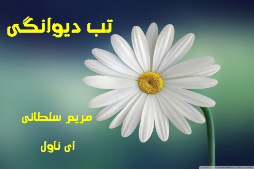 دانلود pdf رمان تب دیوانگی مریم سلطانی