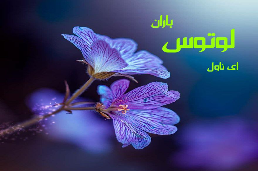 دانلود pdf رمان لوتوس باران