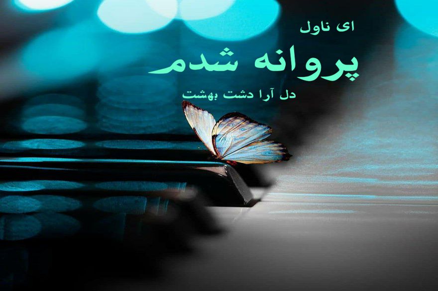دانلود pdf رمان پروانه شدم دل آرا دشت بهشت