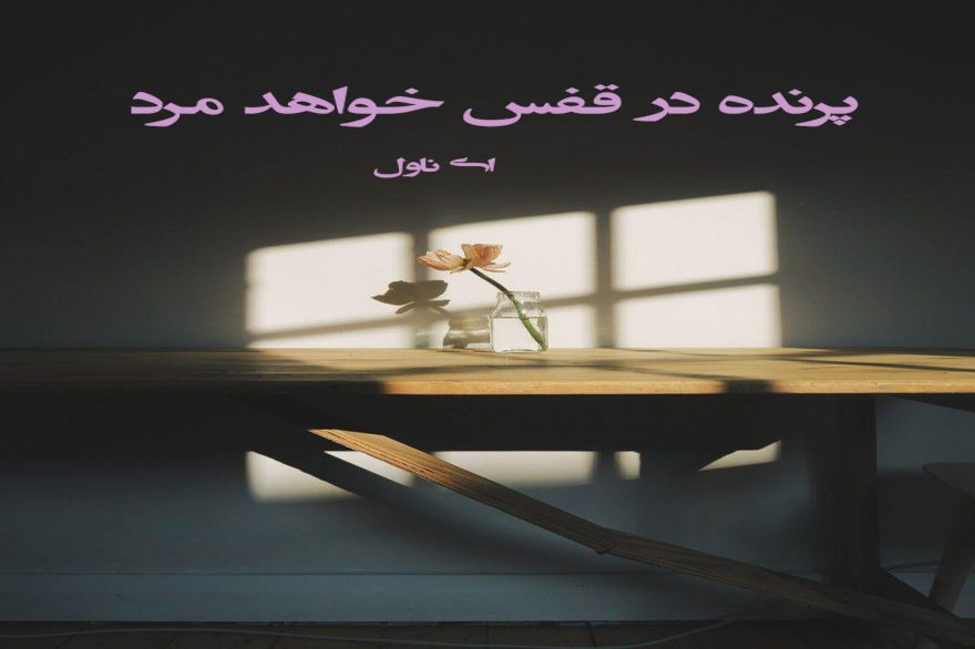 دانلود pdf رمان پرنده در قفس خواهد مرد