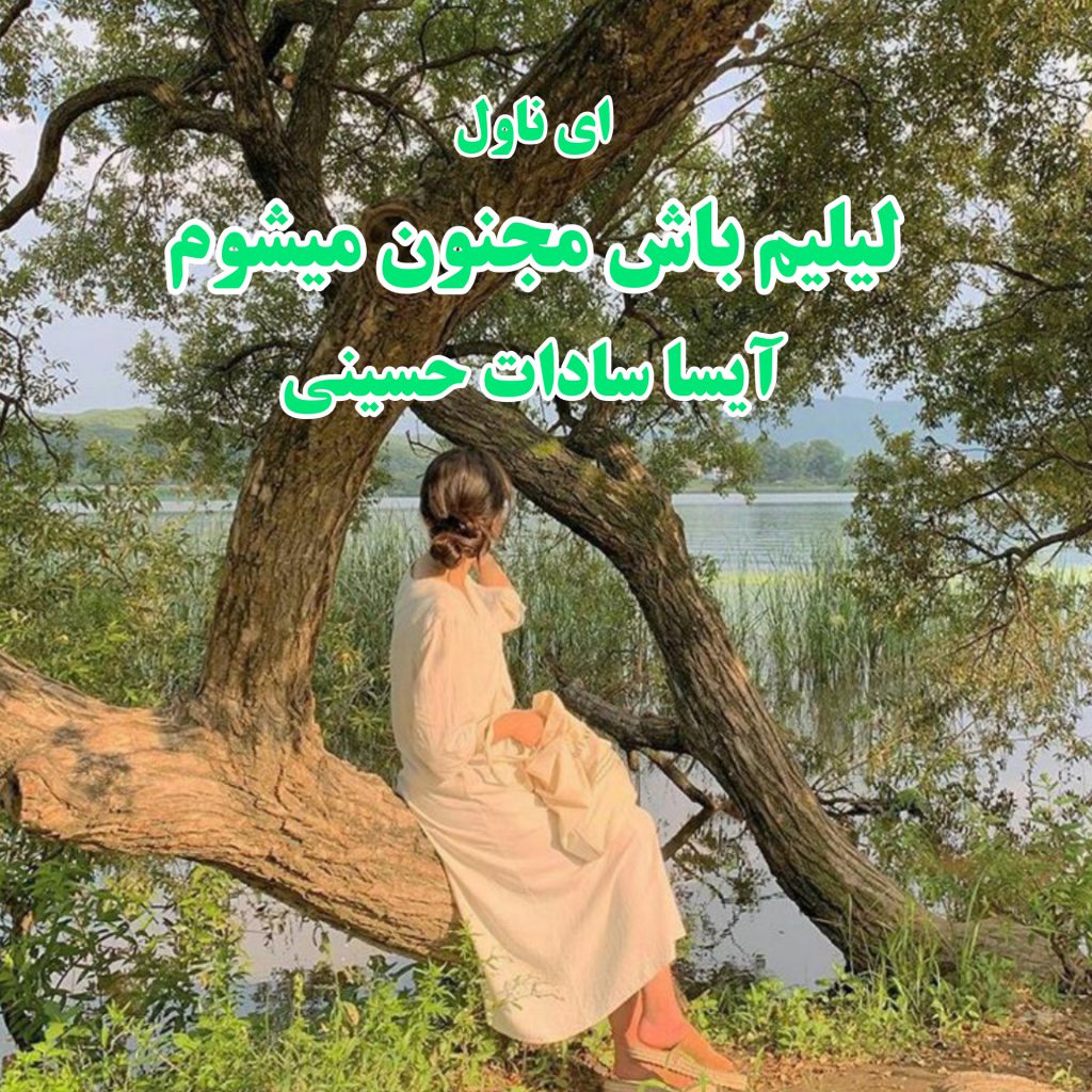 دانلود pdf رمان لیلیم باش مجنون میشوم آیسا سادات حسینی
