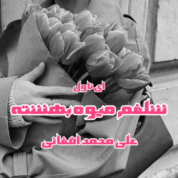دانلود pdf رمان شلغم میوه بهشته از علی محمد افغانی