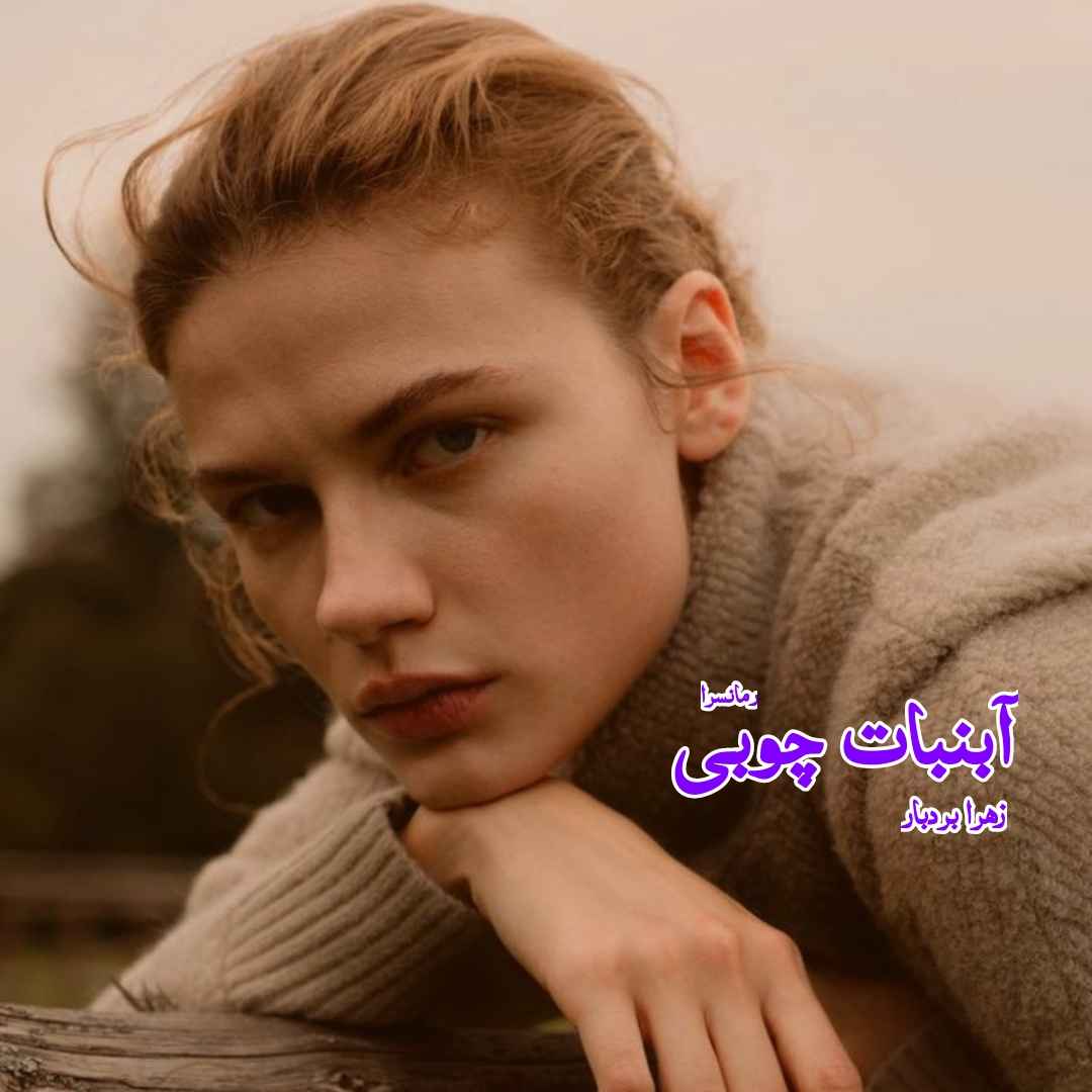 دانلود pdf رمان آبنبات چوبی از زهرا بردبار