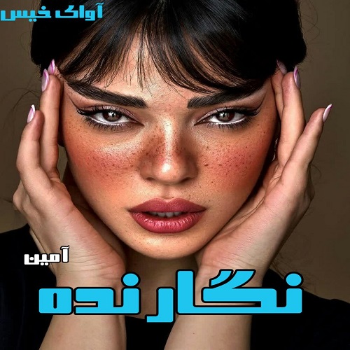 دانلود رمان نگارنده pdf از آمین