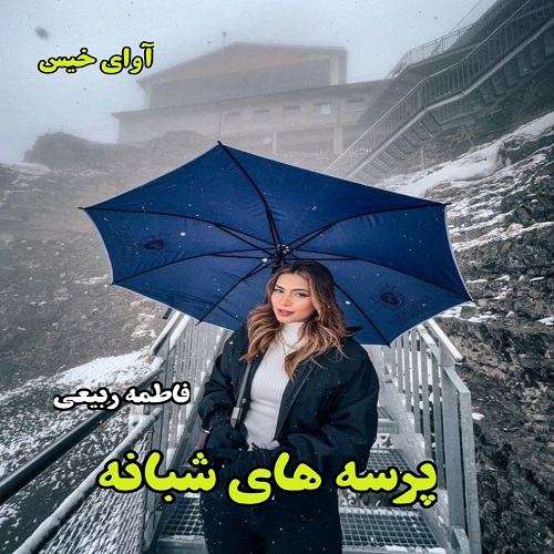 دانلود رمان پرسه های شبانه pdf از فاطمه ربیعی