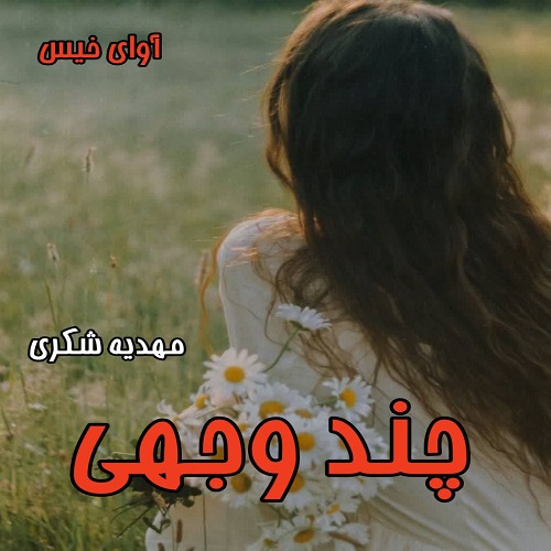دانلود رمان چند وجهی pdf از مهدیه شکری