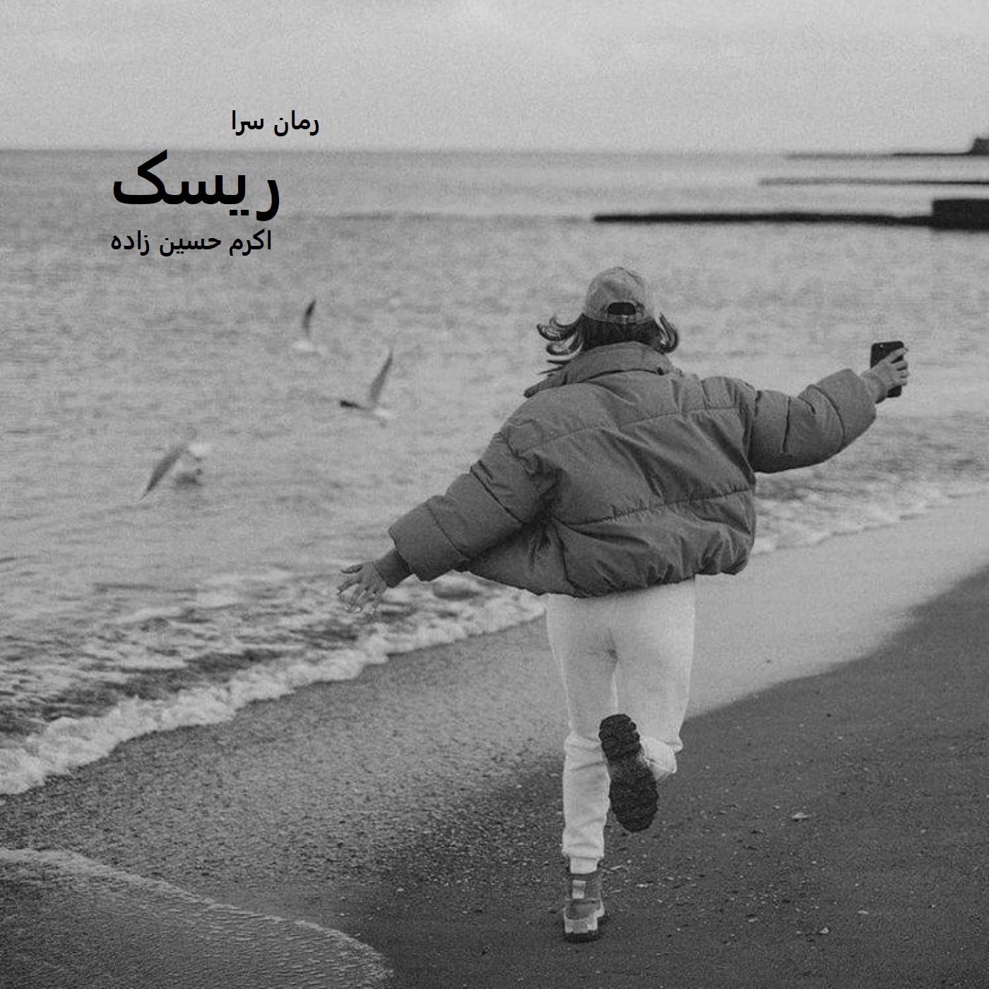 رمان ریسک