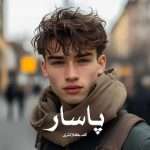دانلود رمان پاسار pdf از نیلوفر لاری