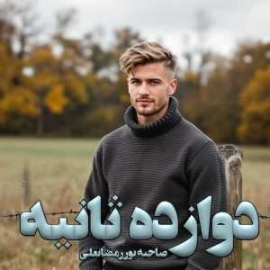 دانلود رمان دوازده ثانیه