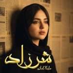 دانلود رمان شرزاد pdf از ملیکا کمانی